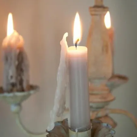 乔伯里阿里玛酒店 招待所 比亚里茨