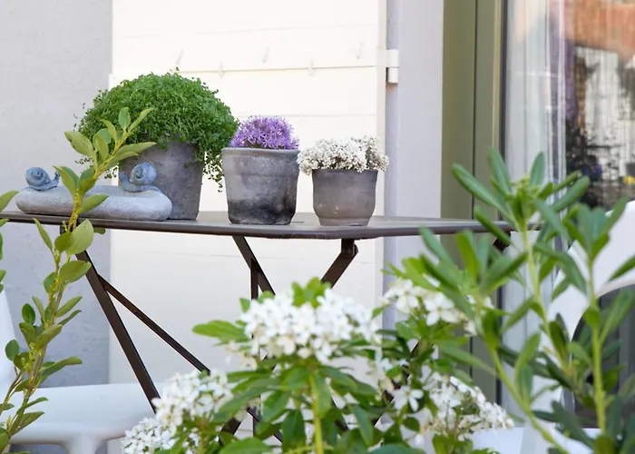 D'hotes Arima Πανσιόν Μπιαρίτζ